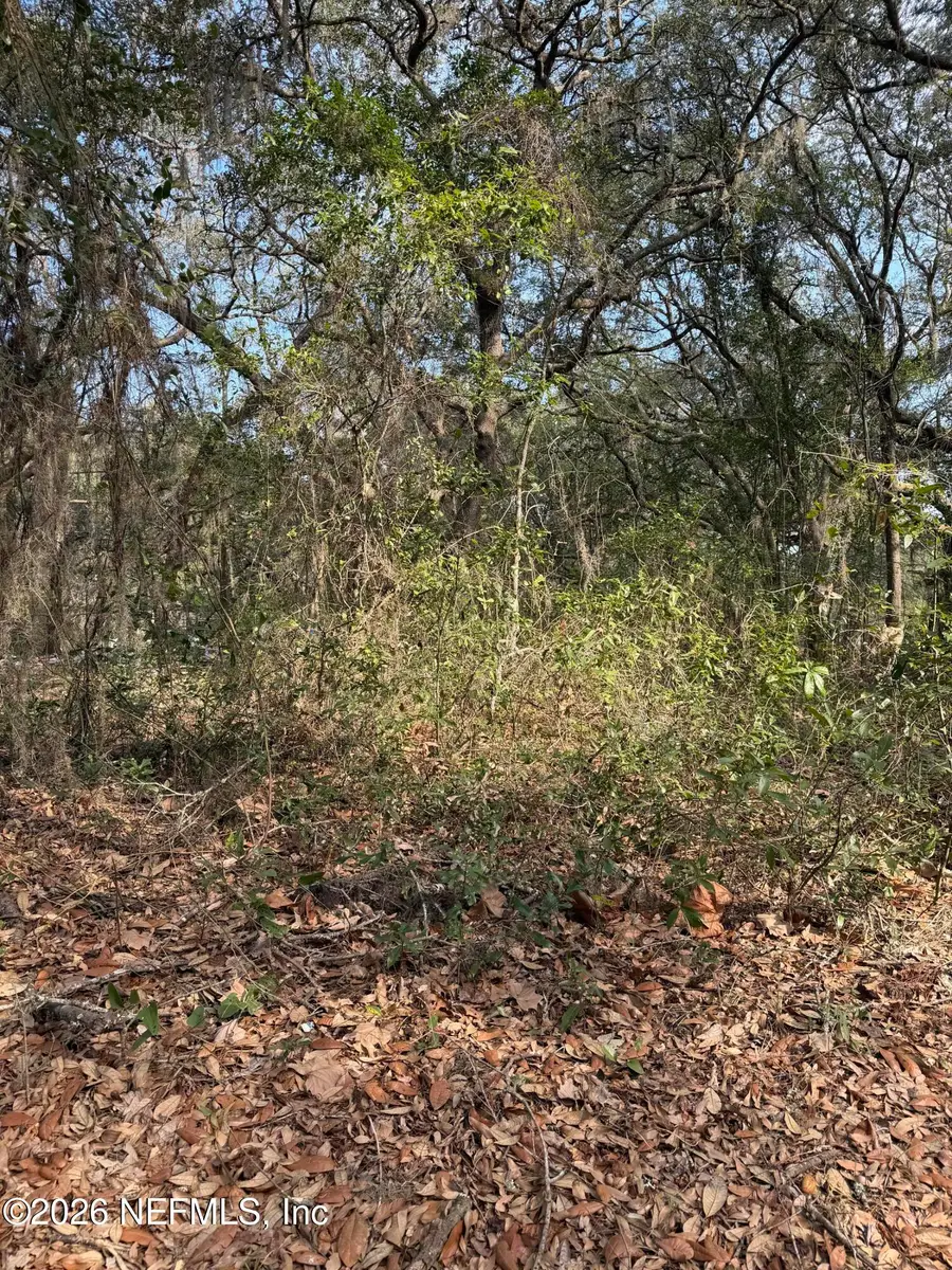 102 David Drive, Interlachen, FL 32148 - #3