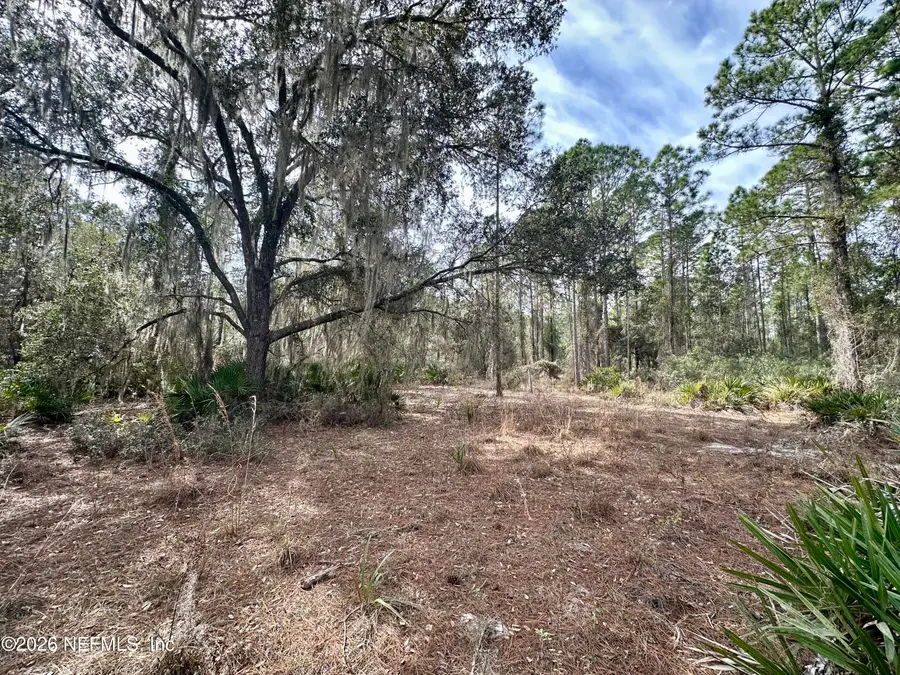 229 Marie Avenue, Georgetown, FL 32139 - #2