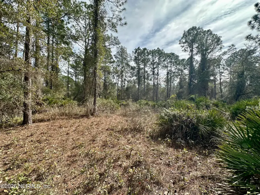 229 Marie Avenue, Georgetown, FL 32139 - #3