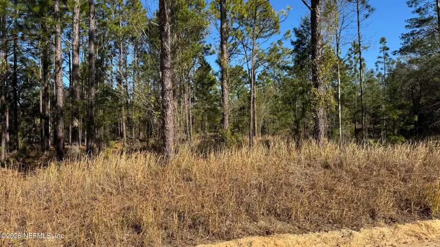 0 Poinciana Drive, Interlachen, FL 32148 - Image #2