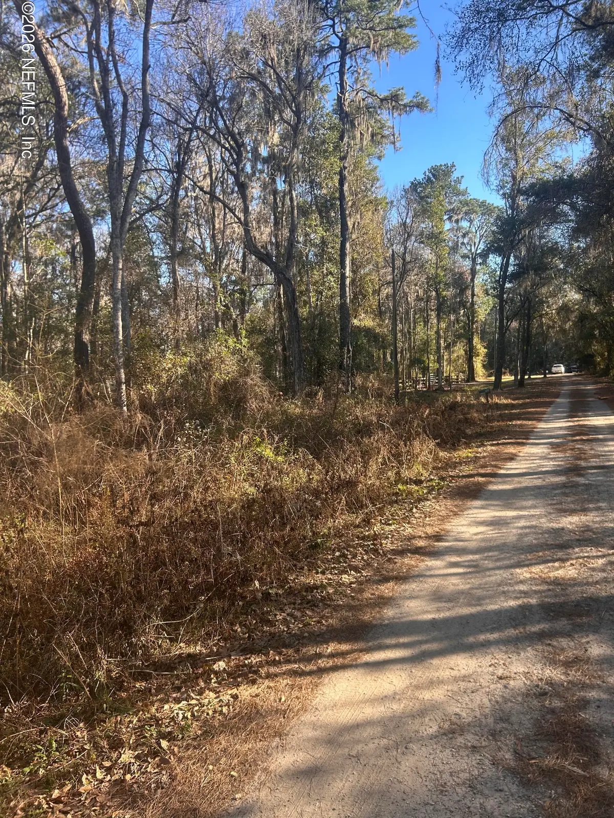 258 Lake Drive, Florahome, FL 32140 - #1