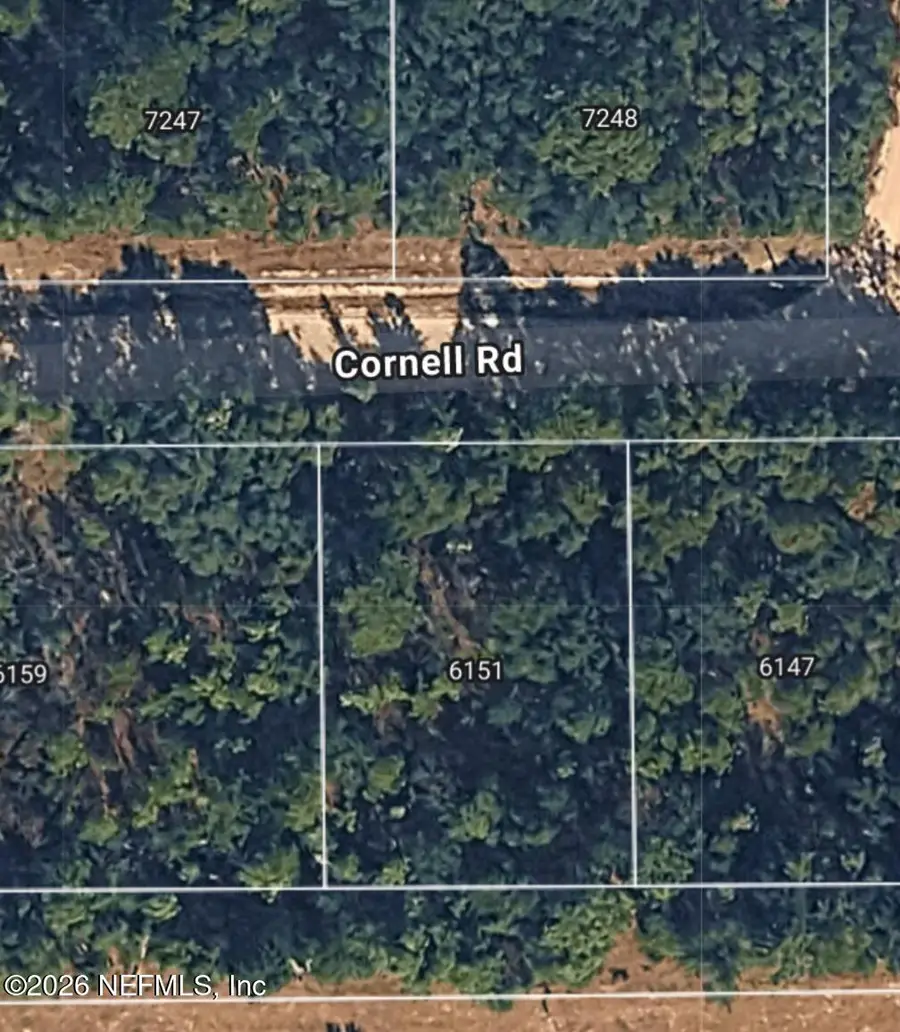 6151 Cornell Road, Keystone Heights, FL 32656 - Image #3