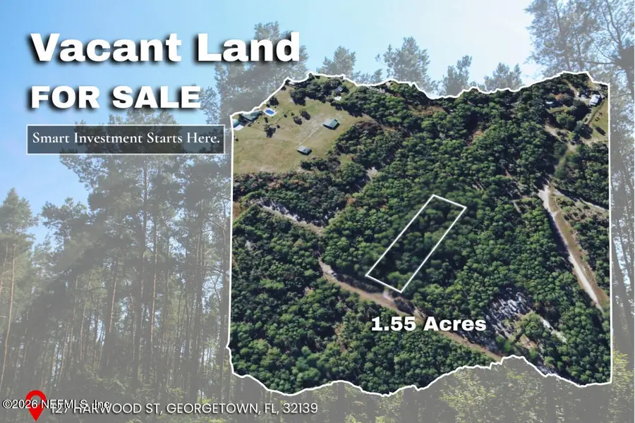 127 Harwood Street, Georgetown, FL 32139 - Image #2