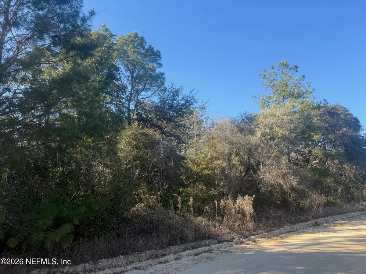 147 Nettles Road, Florahome, FL 32140 - #1