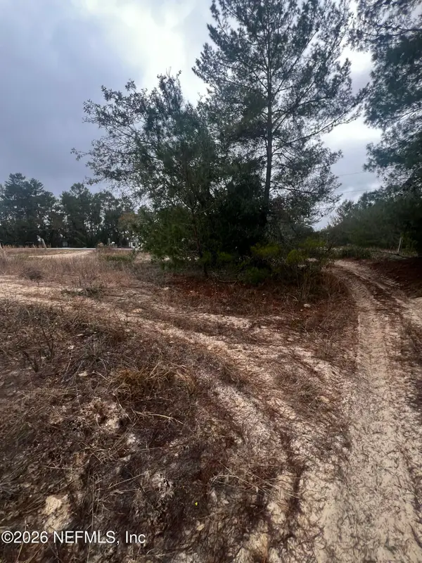 226 Ridge Road, Satsuma, FL 32189