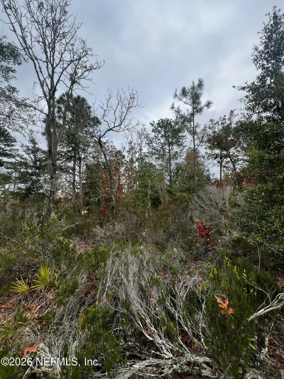 307 Lemon Street, Interlachen, FL 32148 - Image #1