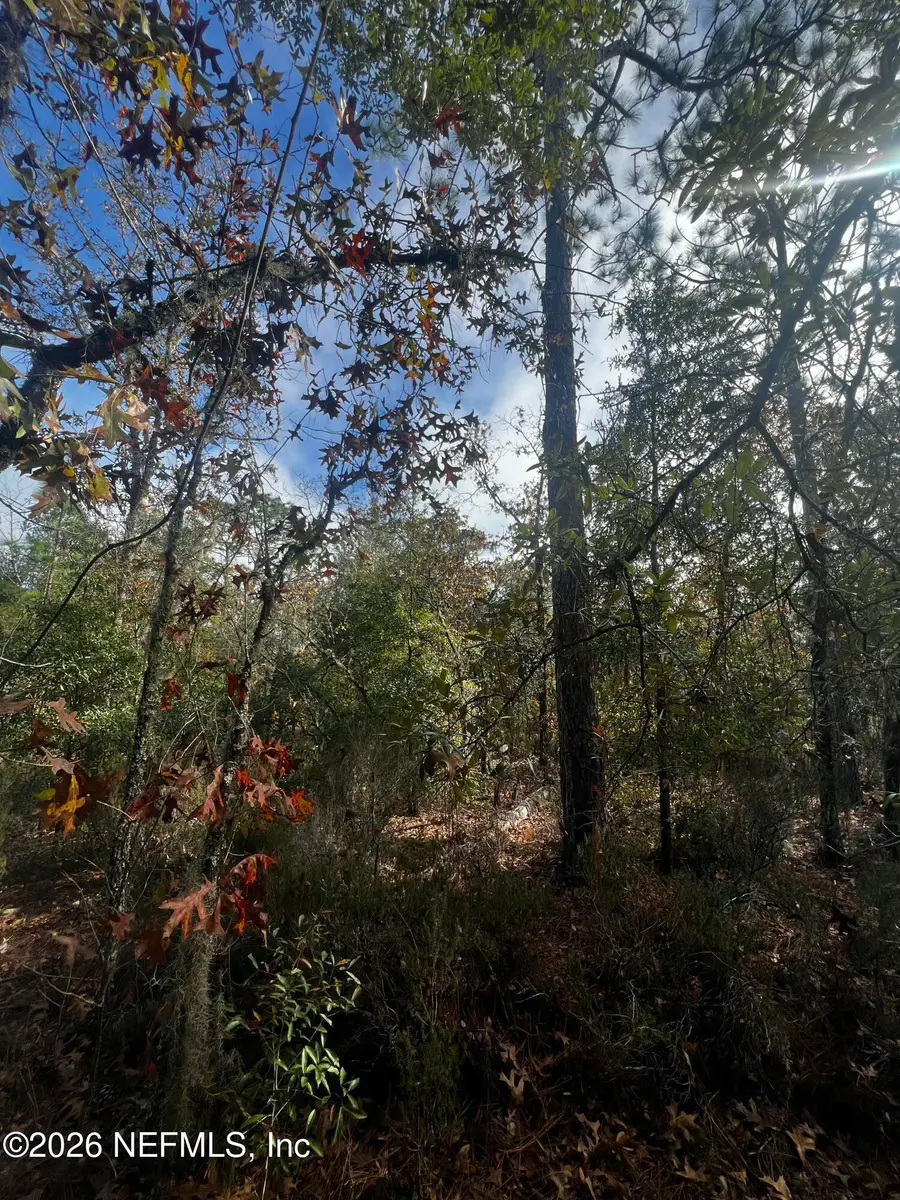 307 Lemon Street, Interlachen, FL 32148 - Image #2