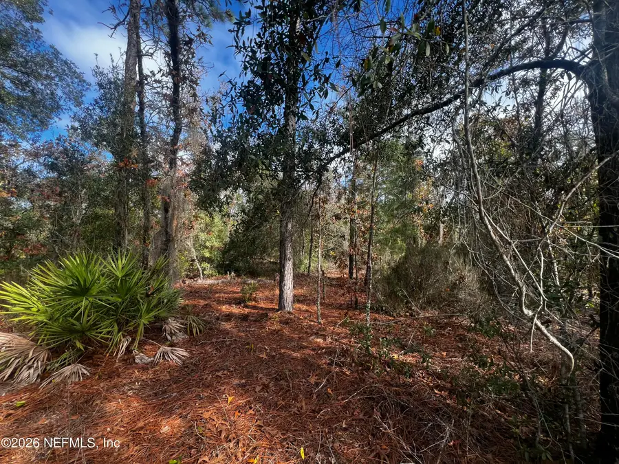 307 Lemon Street, Interlachen, FL 32148 - Image #3