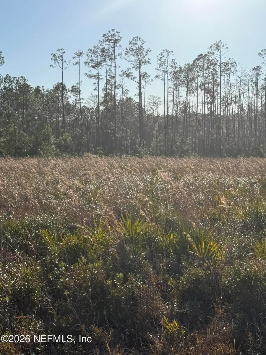 0 Conner Nelson Road, Hilliard, FL 32046 - Image #2