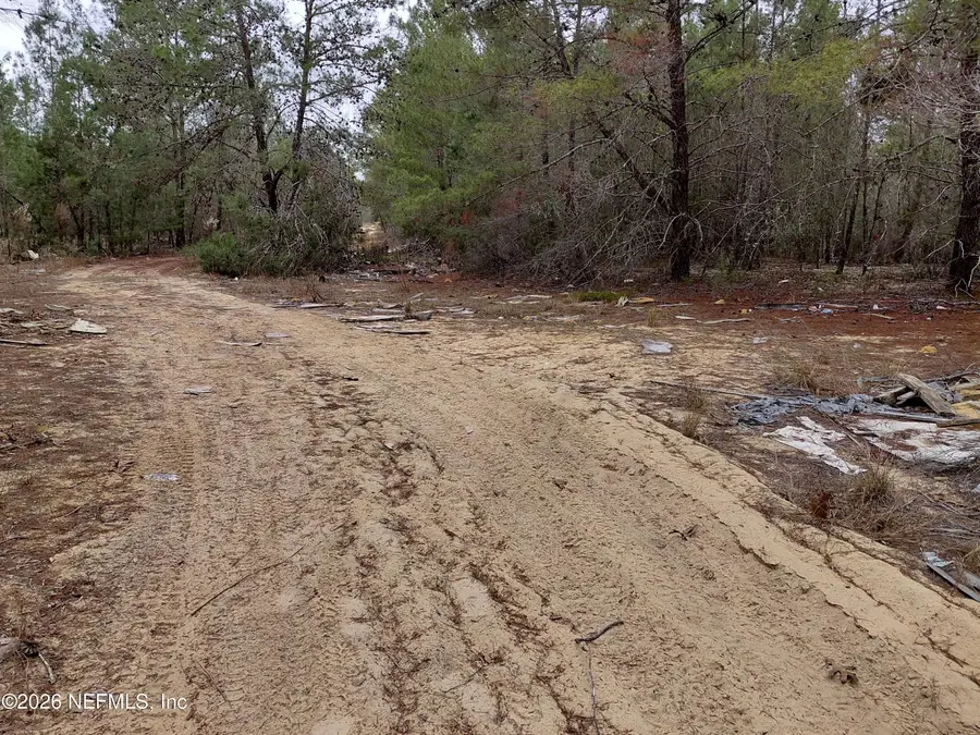 0 Oak Terrace, Interlachen, FL 32148 - Image #3