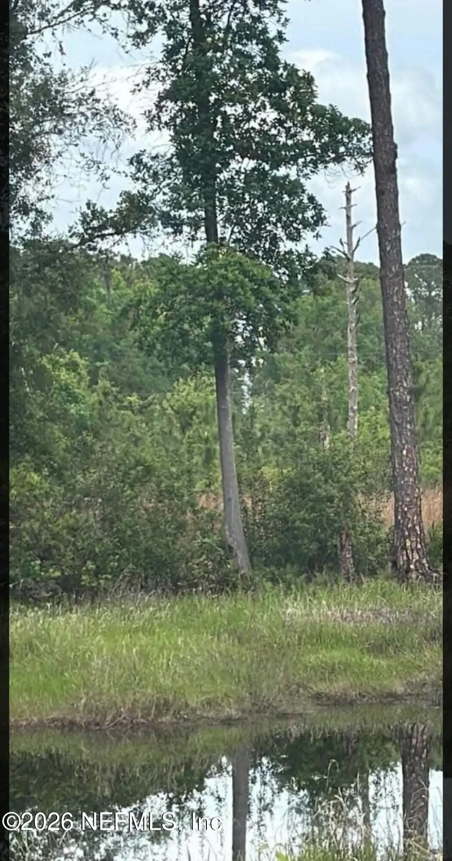 217 Hanselman Avenue, Crescent City, FL 32112 - #2