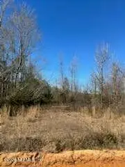 5123 Elmore Road, Graceville, FL 32446 - #3