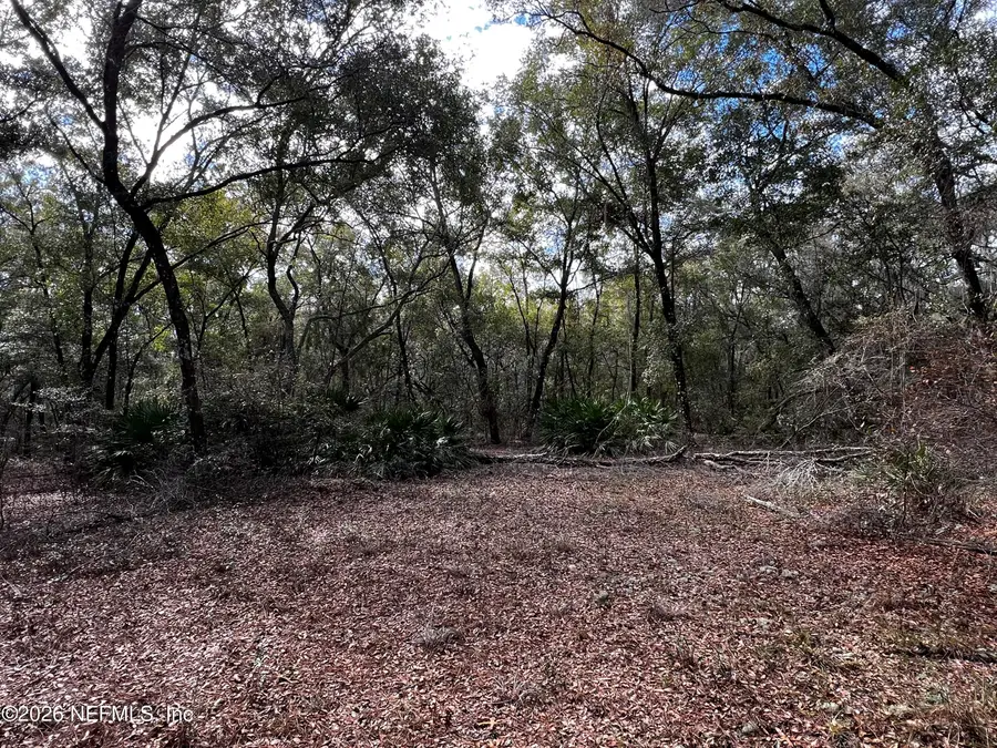 141 Woodland Lane, Hawthorne, FL 32640 - #2