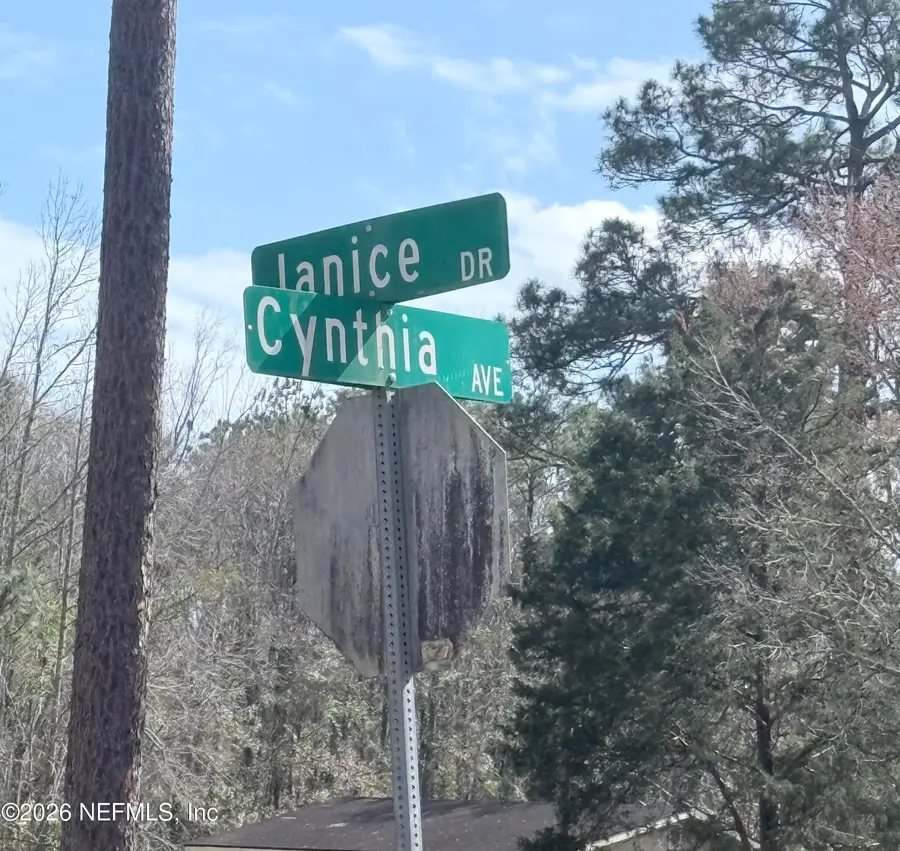 0 Janice Drive, Callahan, FL 32011 - #3