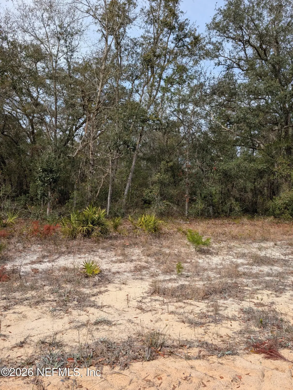 0 David Avenue, Interlachen, FL 32148 - #1