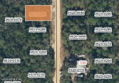 0 David Avenue, Interlachen, FL 32148 - #3