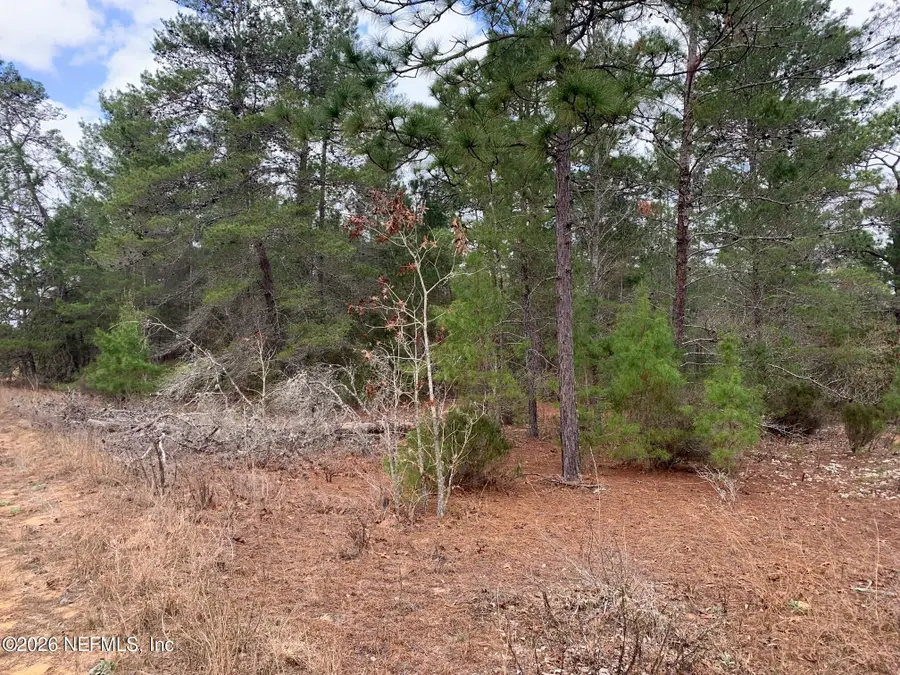 XXX St Lucie Avenue, Interlachen, FL 32148 - #2