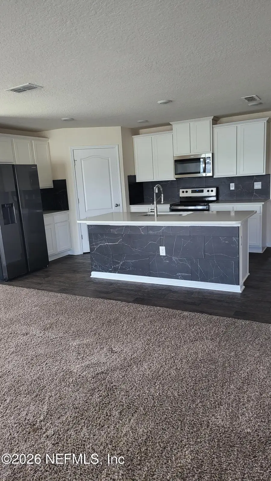 804 Cameron Oaks Pl, Middleburg, FL 32068 - #3