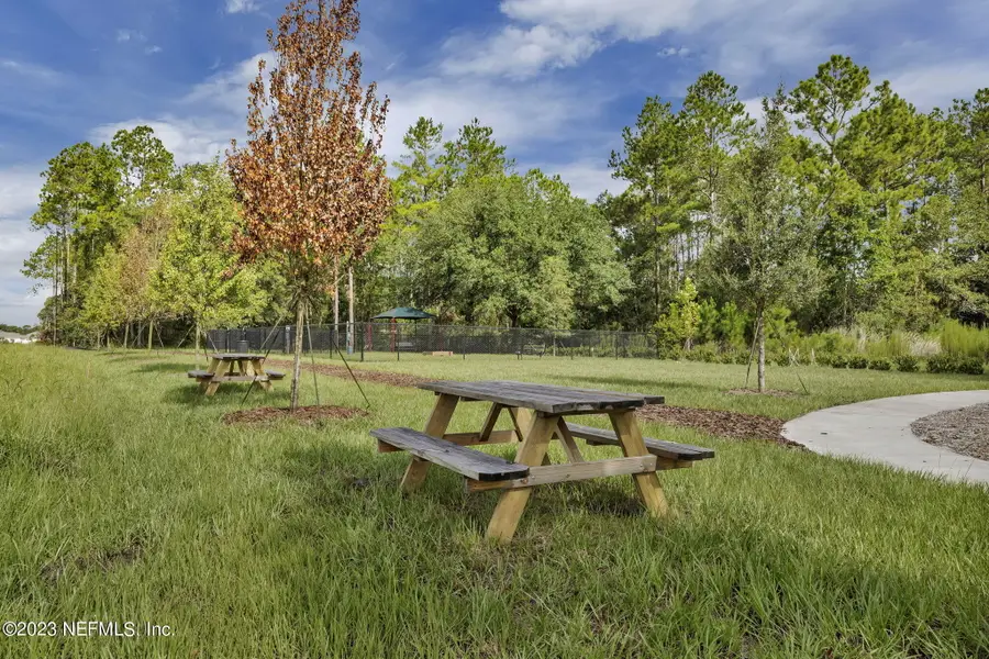 1009 Rooster Hollow Way, Middleburg, FL 32068 - #3