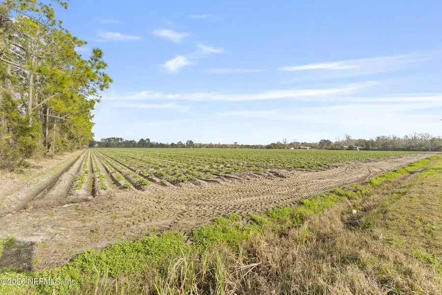 0 Carter Crabtree Road, East Palatka, FL 32131 - #3