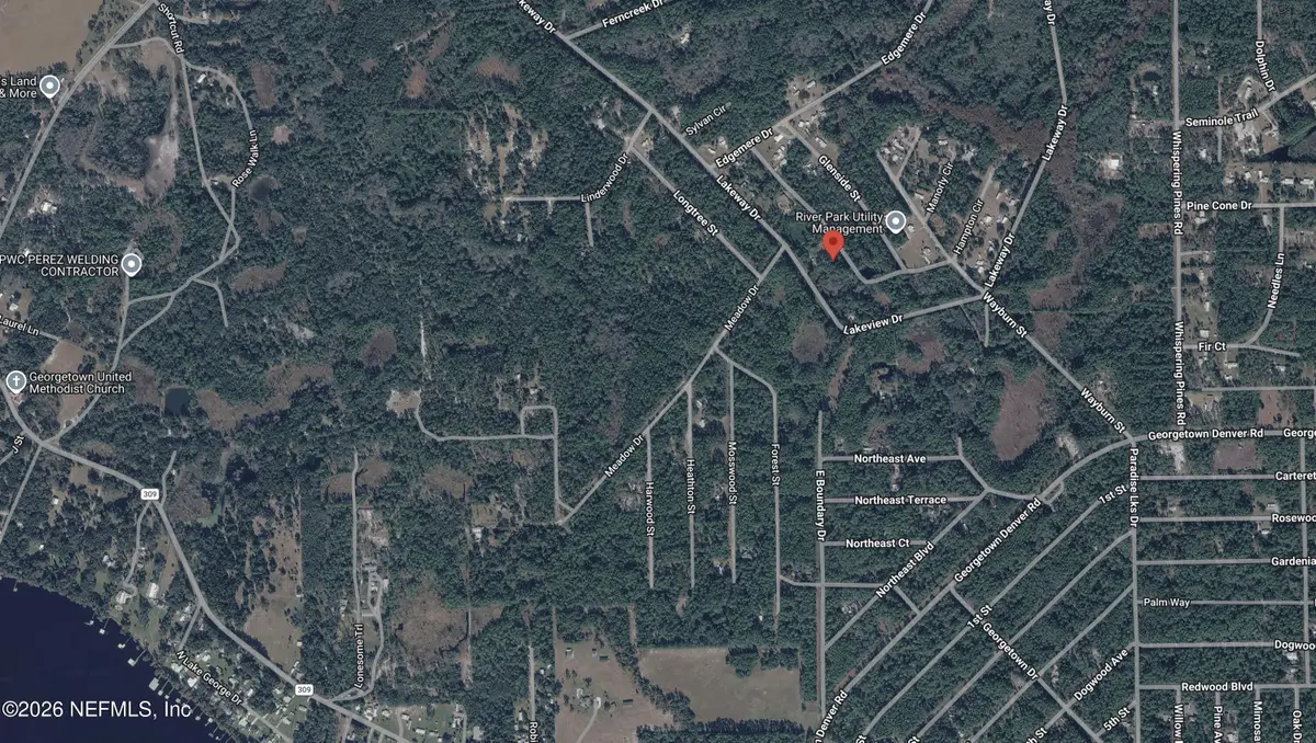 127 Roebuck Street, Georgetown, FL 32139 - #1