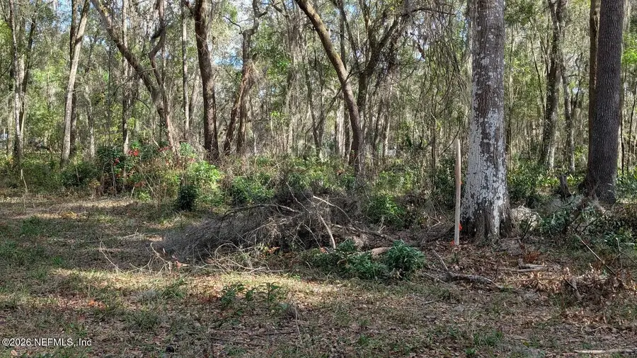 000 Harris Fish Camp Road, Crescent City, FL 32112 - #3