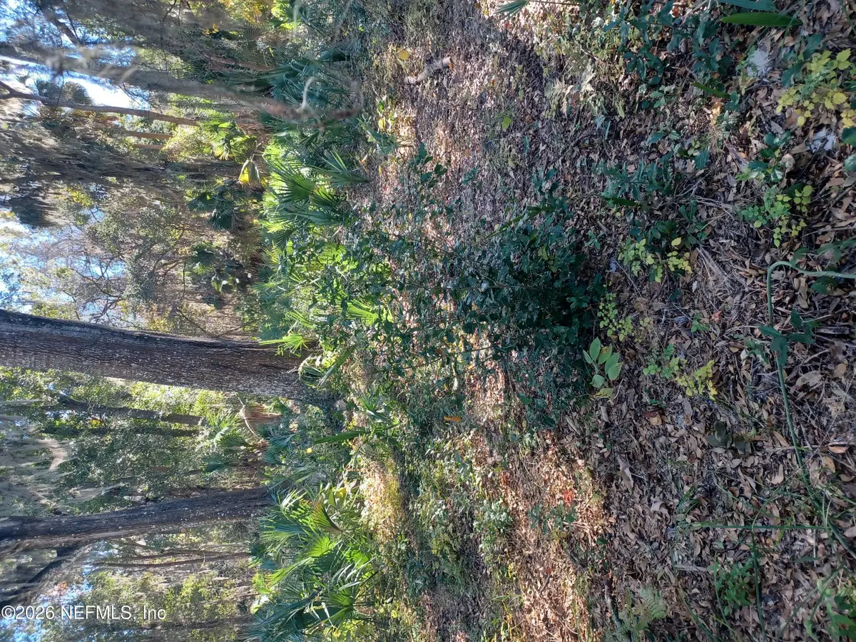 2499 Henley Road, Green Cove Springs, FL 32043 - #1