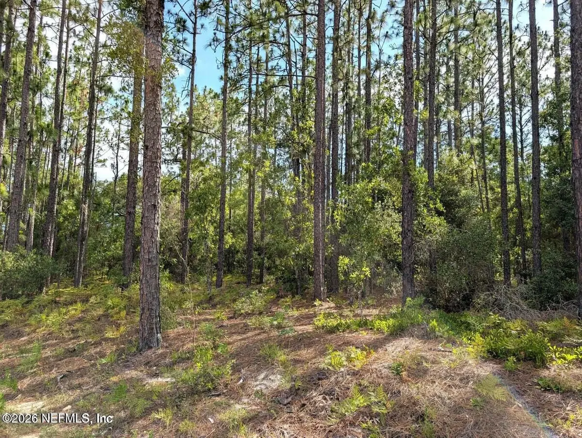 0 Cr 218 Pasafino Road, Green Cove Springs, FL 32043 - #1