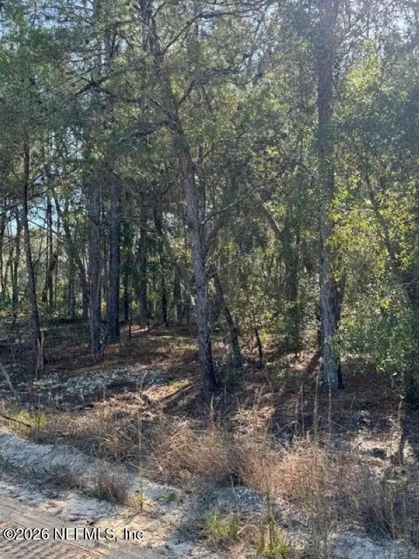 119 Coconut Street Street, Pomona Park, FL 32181