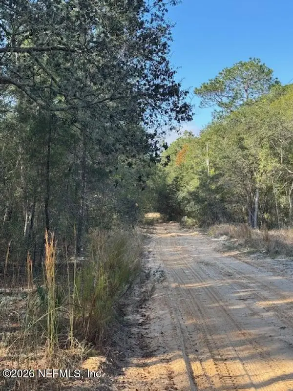 113 Grove Street, Welaka, FL 32112