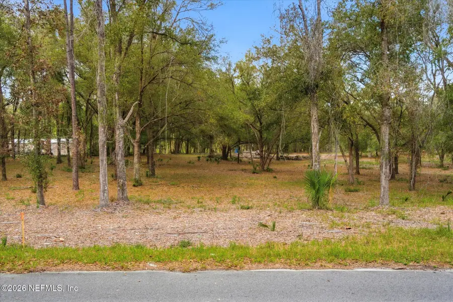 TBD Old Welaka (parcel B) Road, Welaka, FL 32193 - #3