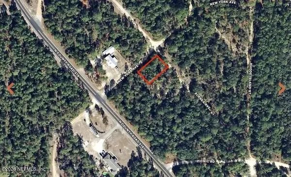 0 Alaska Avenue, Interlachen, FL 32148