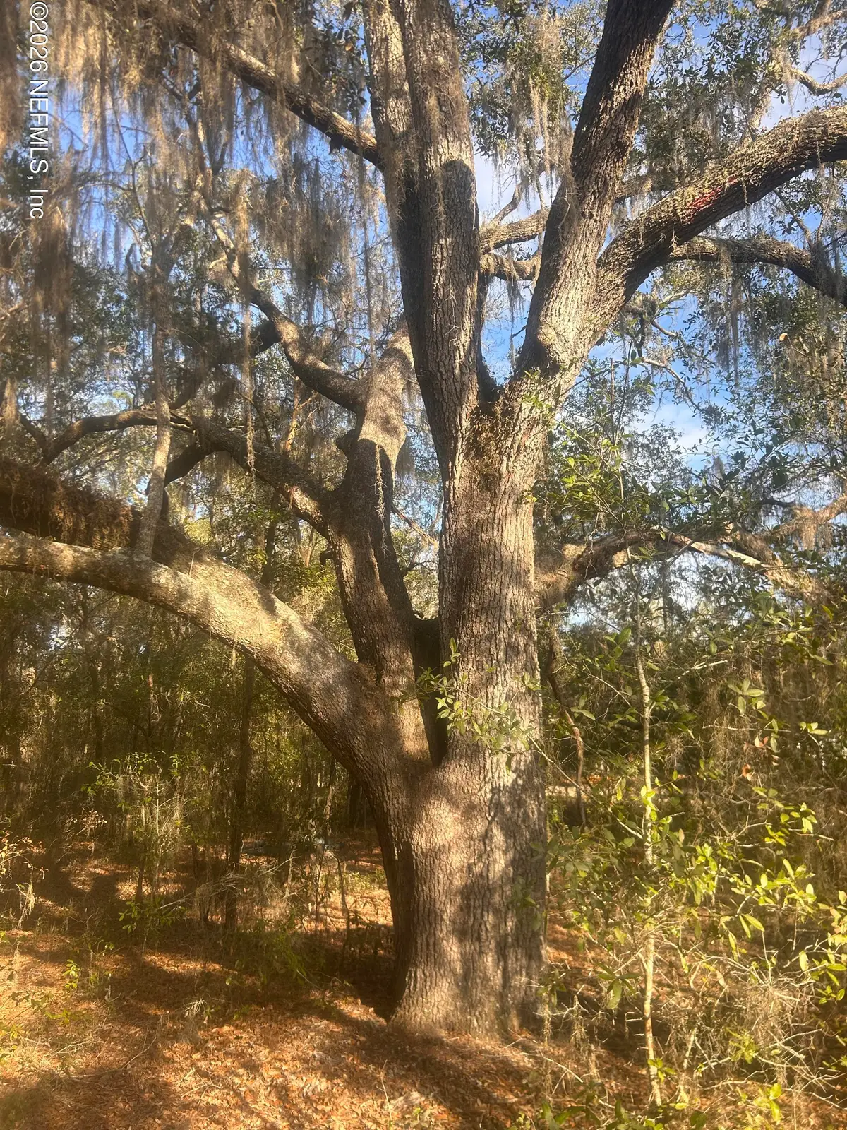 0 West Lake Drive, Hawthorne, FL 32640 - #1