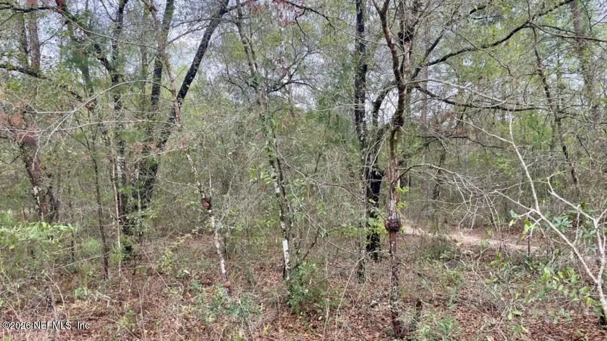 6345 Antioch Avenue, Keystone Heights, FL 32656 - #1