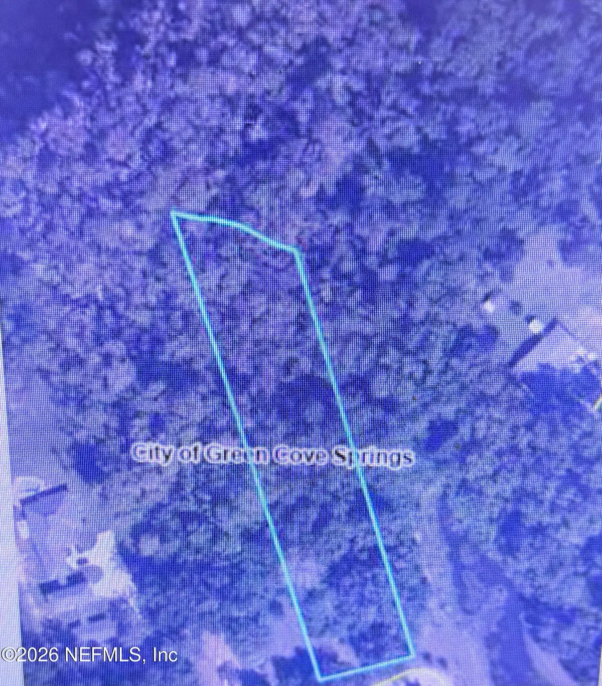 1302 East Street, Green Cove Springs, FL 32043 - #1