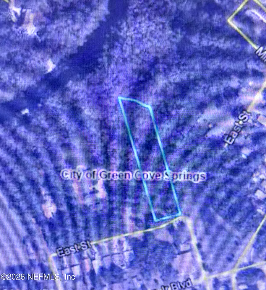 1302 East Street, Green Cove Springs, FL 32043 - #2
