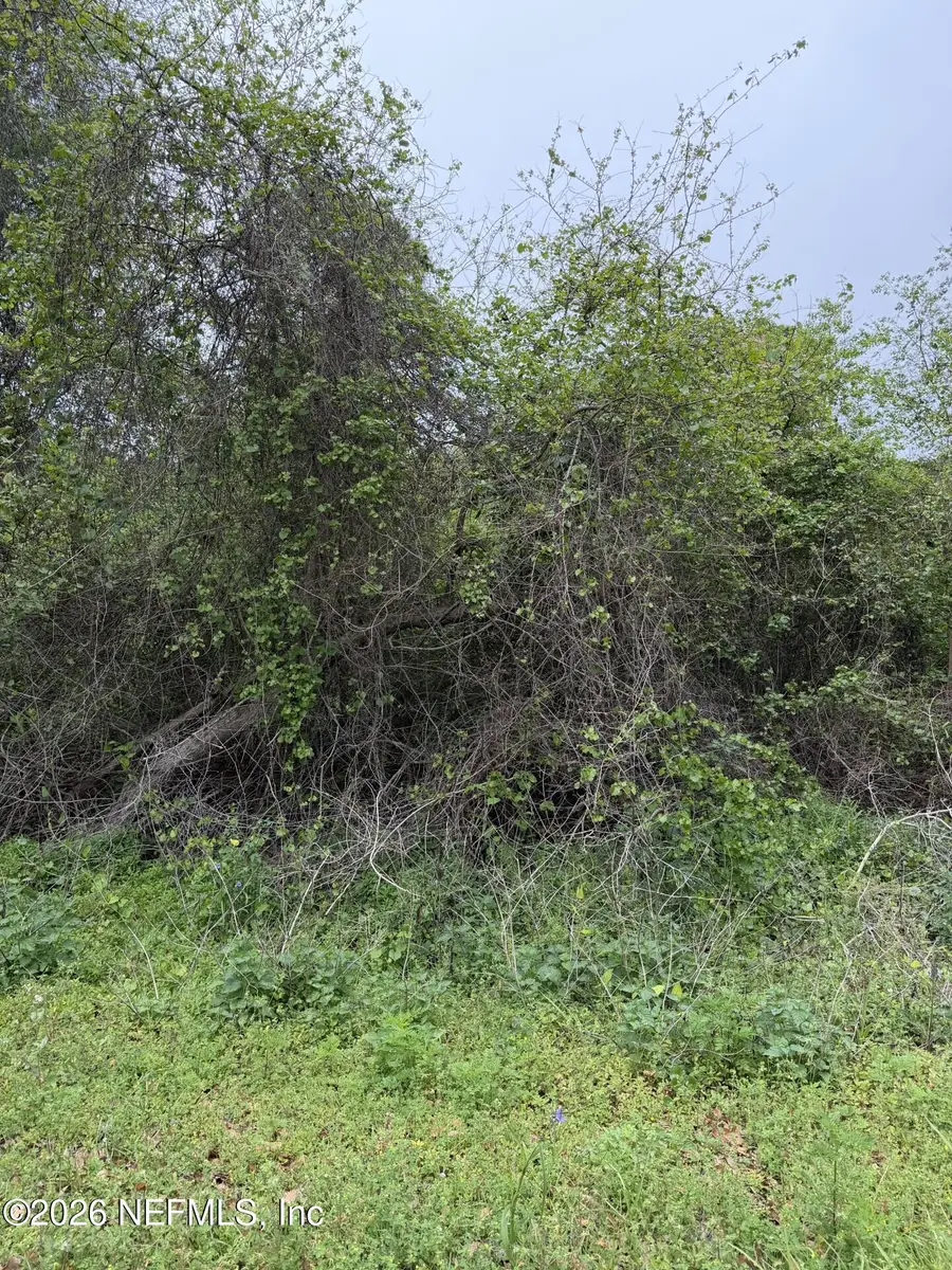 104 Kerry Drive, Satsuma, FL 32189 - #2