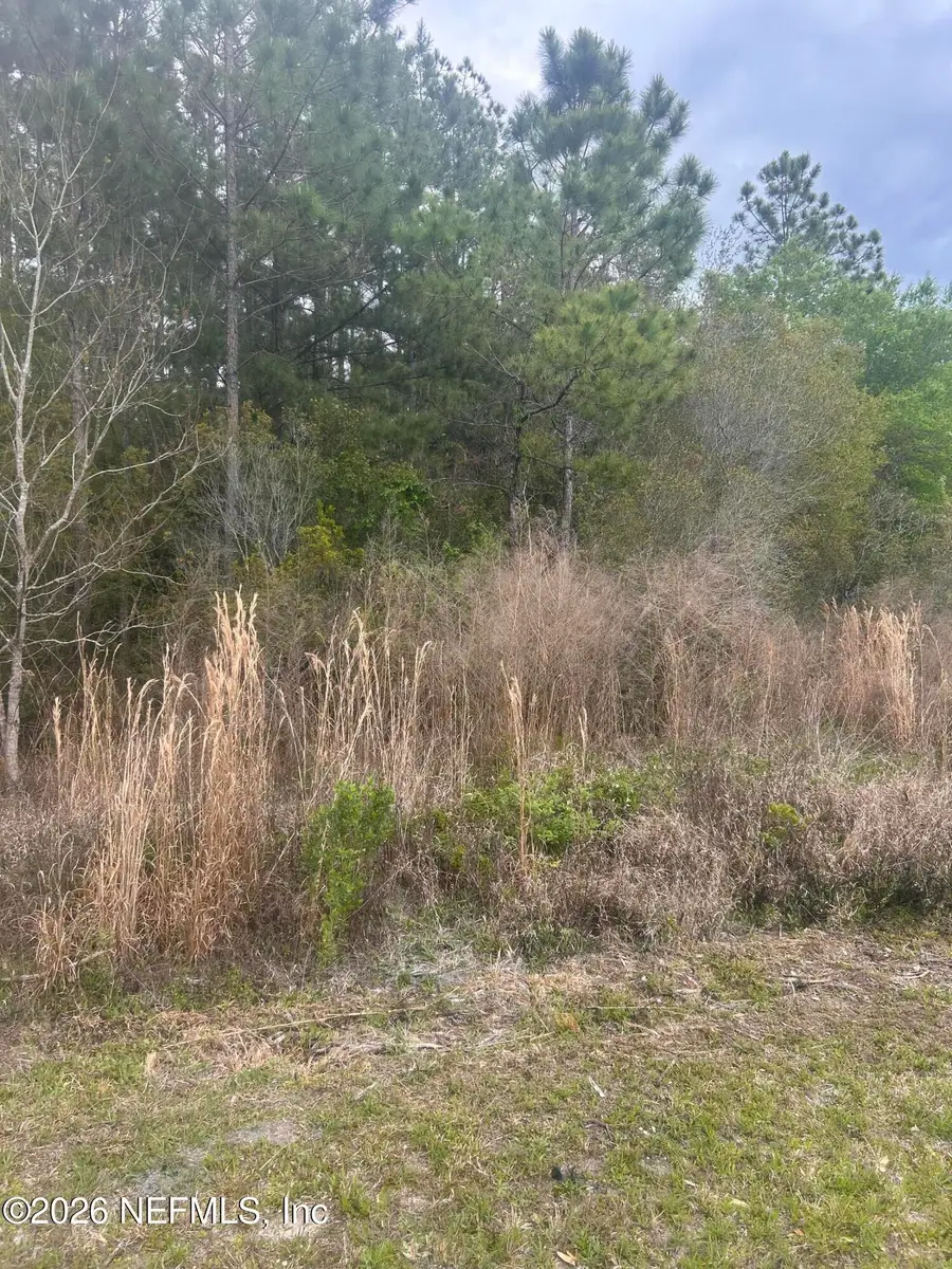0 Slew Court, Palatka, FL 32177 - #2
