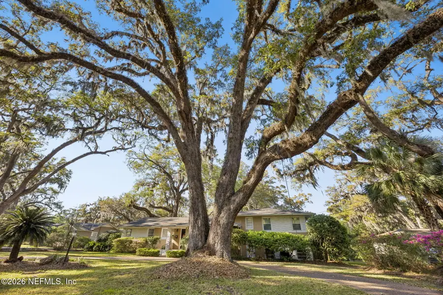 4226 Forest Park Road, Jacksonville, FL 32210 - #3