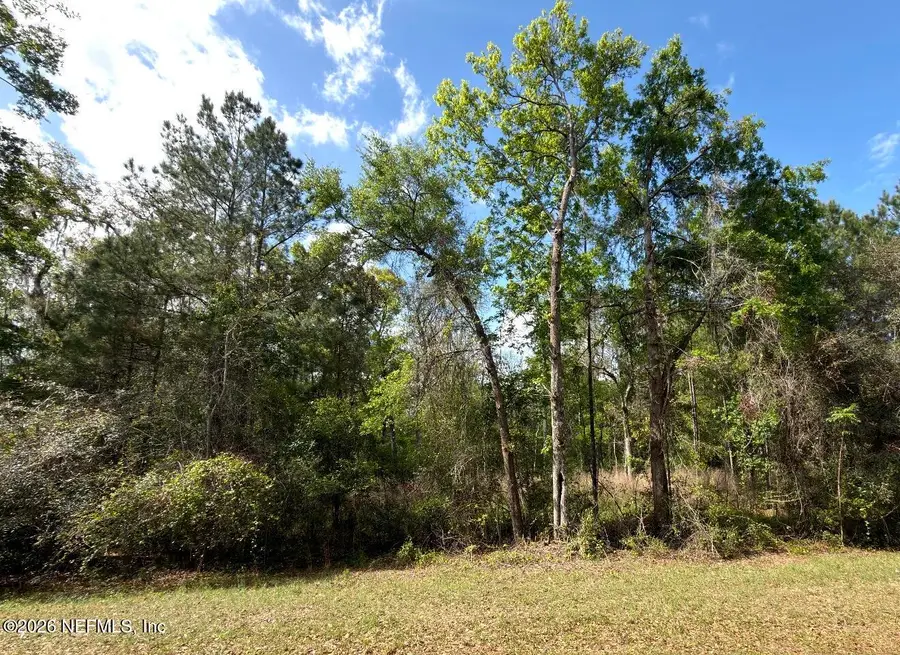 4501 Tarragon Avenue, Middleburg, FL 32068 - #2