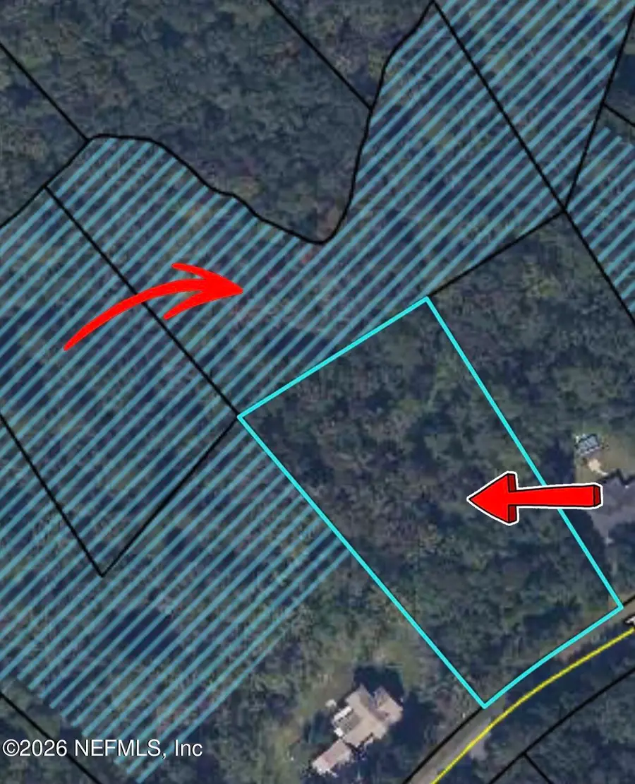 4501 Tarragon Avenue, Middleburg, FL 32068 - #3