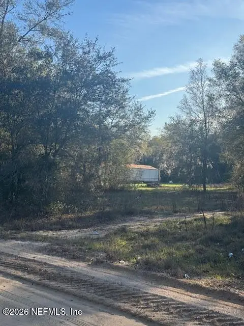 123 Ellen Avenue, Interlachen, FL 32148 - #3