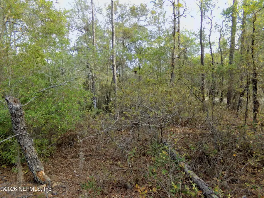 111 Brass Street, Interlachen, FL 32148 - #3