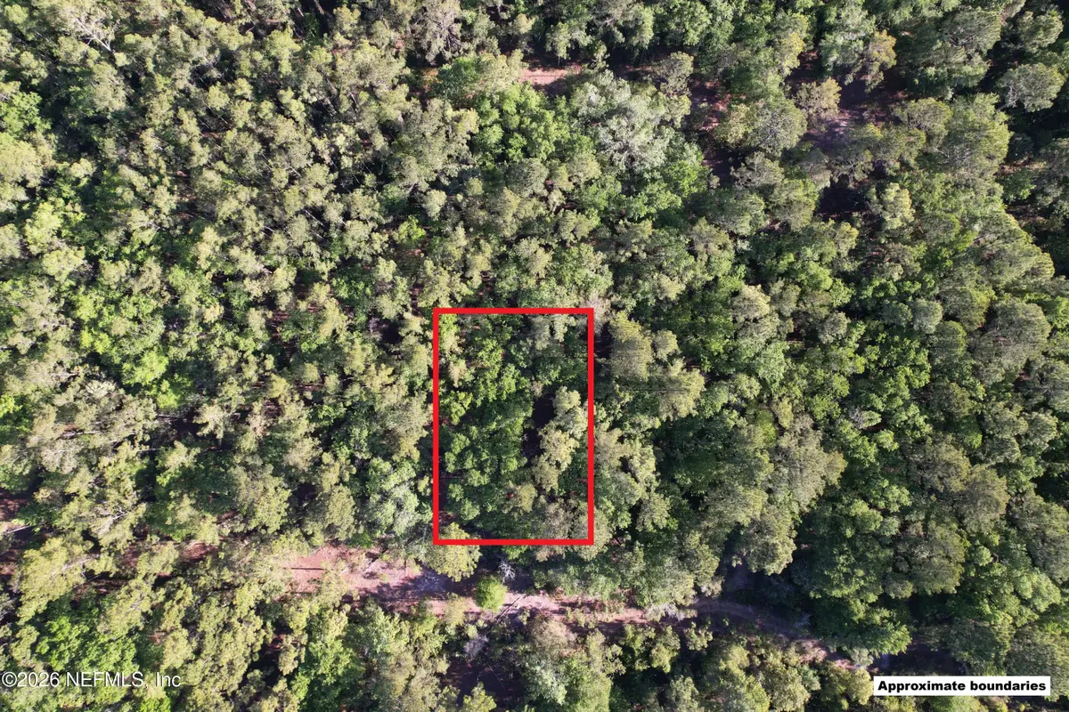 329 Chipola Drive, Georgetown, FL 32139 - #1