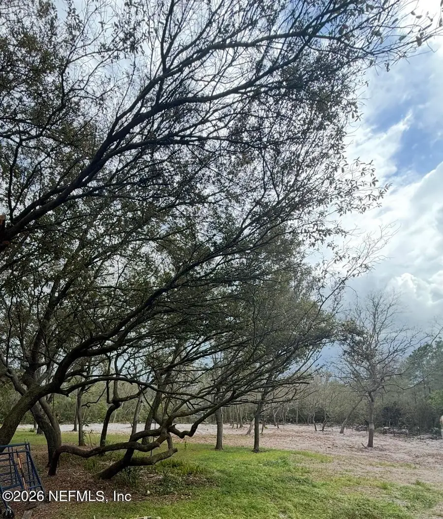 228 Browns Hammock Road, Crescent City, FL 32112 - #2