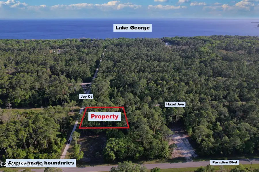 140 Hazel Avenue, Georgetown, FL 32139 - #3