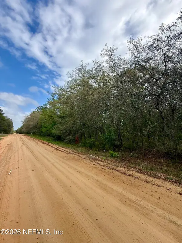 XXX Neilsen Avenue, Interlachen, FL 32148