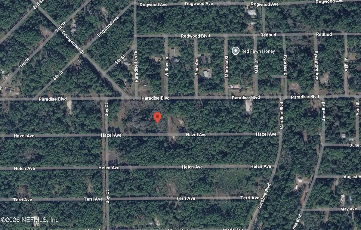 212 Hazel Avenue, Georgetown, FL 32139 - #1
