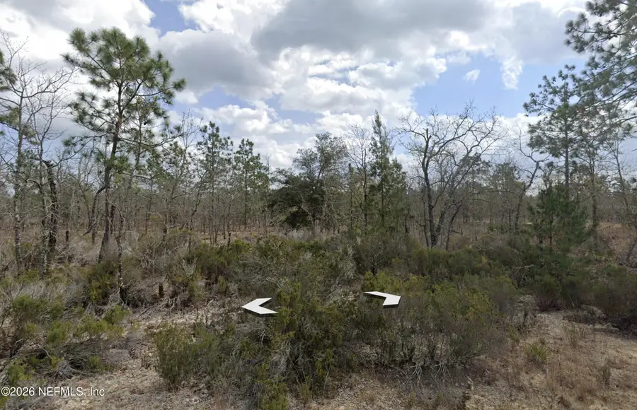 001 Salem Trail, Interlachen, FL 32148 - #3