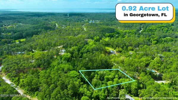 102 Hyacinth Court, Georgetown, FL 32139